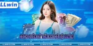 Cách quản lý vốn khi cá độ LLWIN