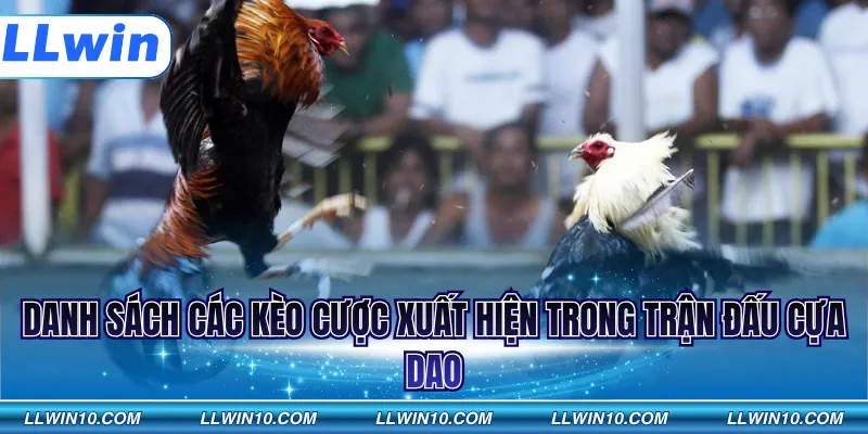 Danh sách các kèo cược xuất hiện trong trận đấu cựa dao