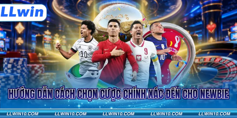 Hướng dẫn cách chọn cược chính xác đến cho newbie