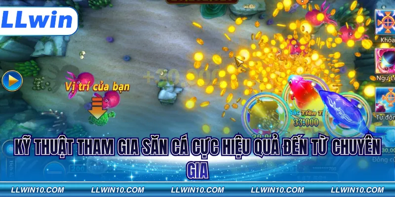Kỹ thuật tham gia săn cá cực hiệu quả đến từ chuyên gia
