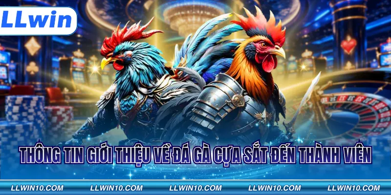 Thông tin giới thiệu về đá gà cựa sắt đến thành viên