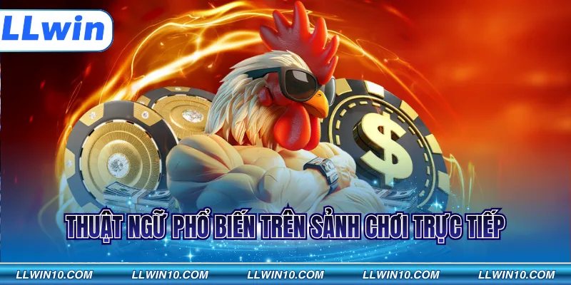 Thuật ngữ phổ biến trên sảnh chơi trực tiếp